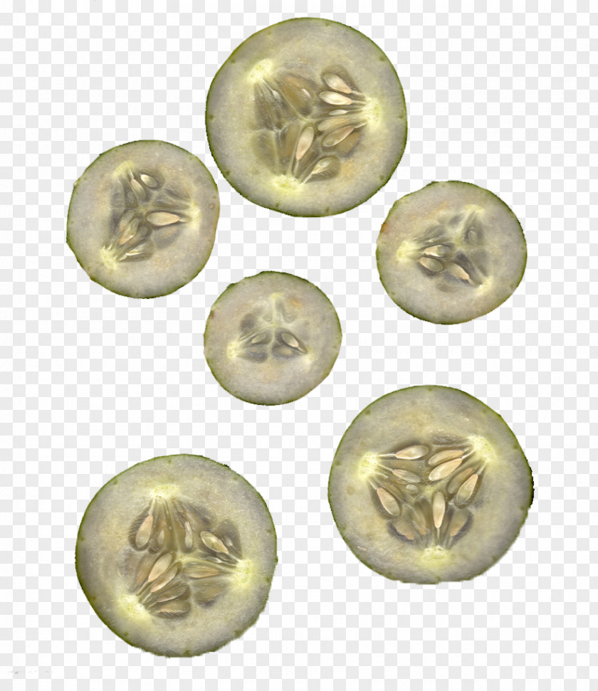 Cucumber Brass Coin PNG