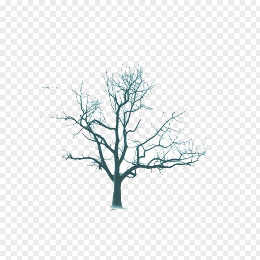 Dead Tree Brush Photoshop Plugin PNG