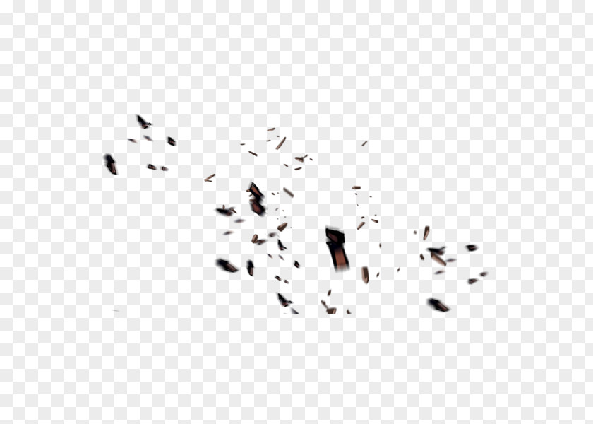 Drift Stone PNG