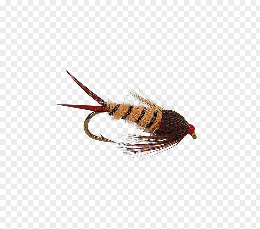 Fly Tying Insect Artificial Spoon Lure If(we) PNG
