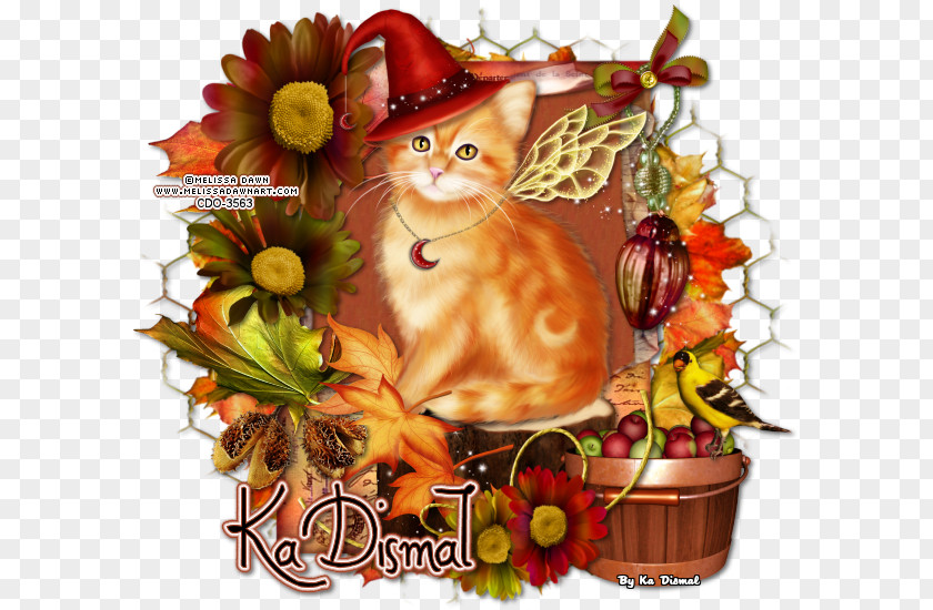 Kitten Cat Web Page Whiskers Christmas Ornament PNG