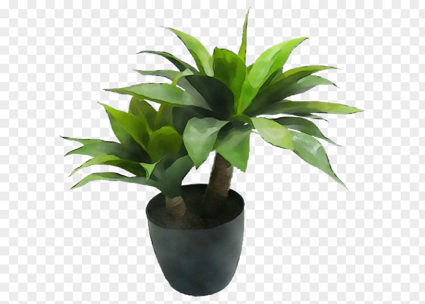 Leaf Houseplant Flowerpot Agave Inav Dbx Msci Ac World Sf PNG