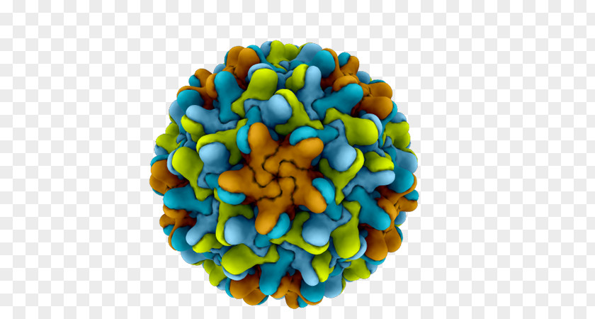 Viral Hepatitis Turquoise PNG