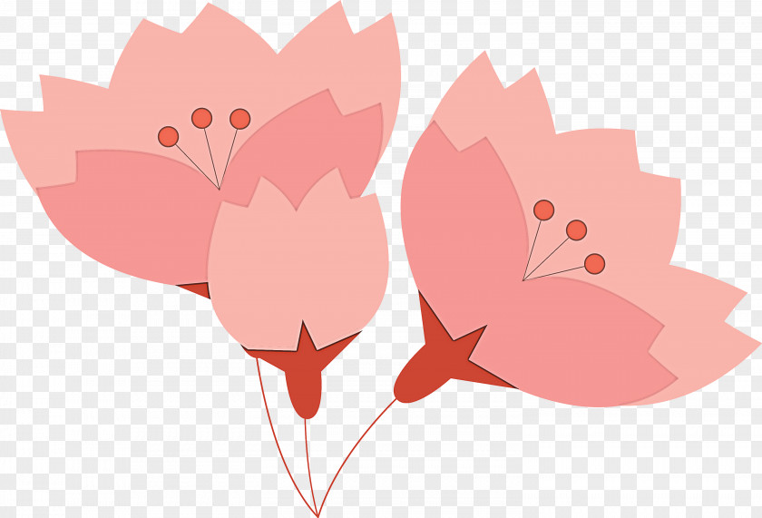 Cherry Flower Floral PNG