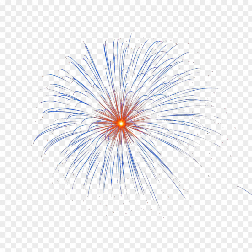 Fireworks Image Vector Graphics Transparency PNG