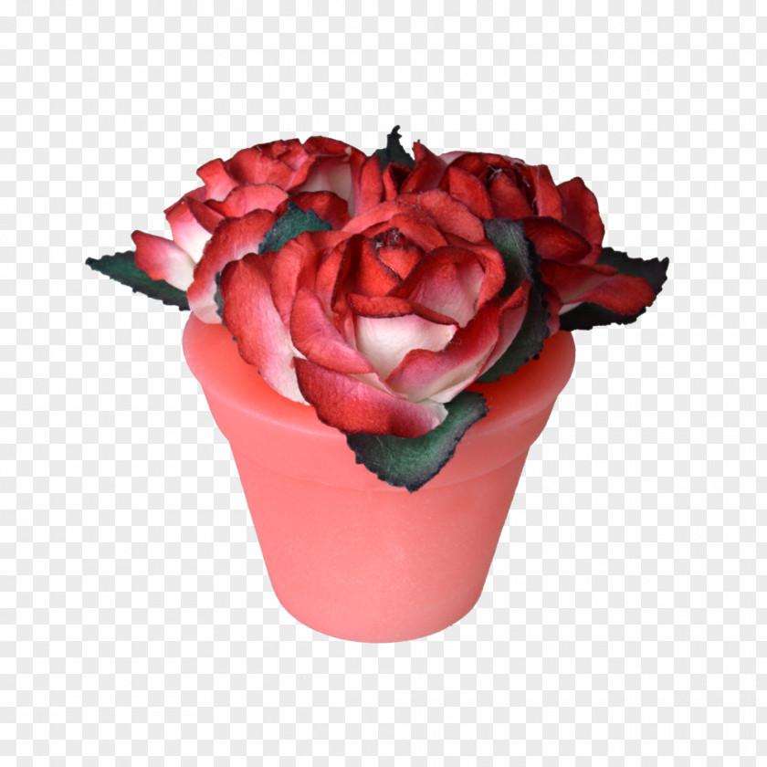 Flowerpot Rosaceae Garden Roses Cut Flowers PNG