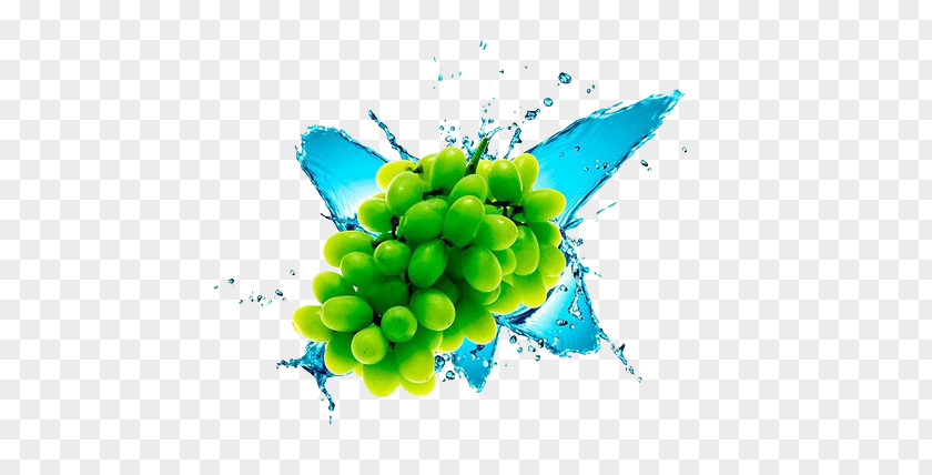 Green Grapes And Spray Grape Gratis Download PNG