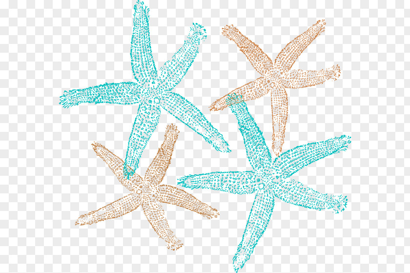 Posters Decorative Material Starfish Clip Art PNG