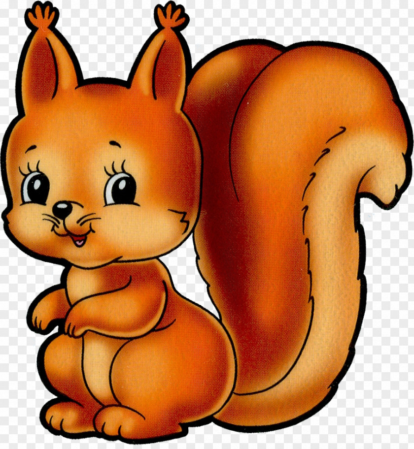 Boar Red Squirrel Chipmunk Clip Art PNG