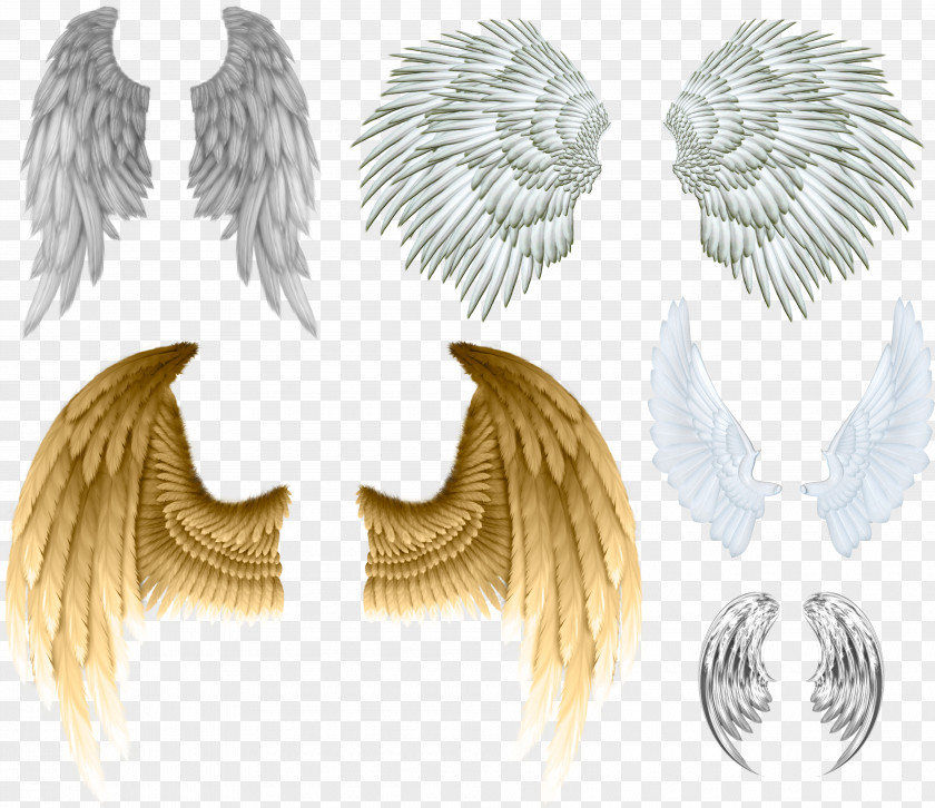 Buffalo Wings Devil Angel Wing Clip Art PNG