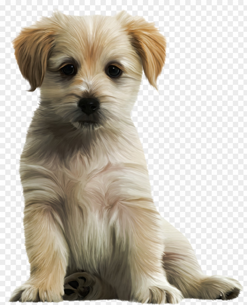 Cute Puppy Clipart Image Labrador Retriever Clip Art PNG
