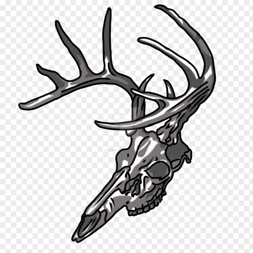 Deer Antler Art Bone Skull PNG