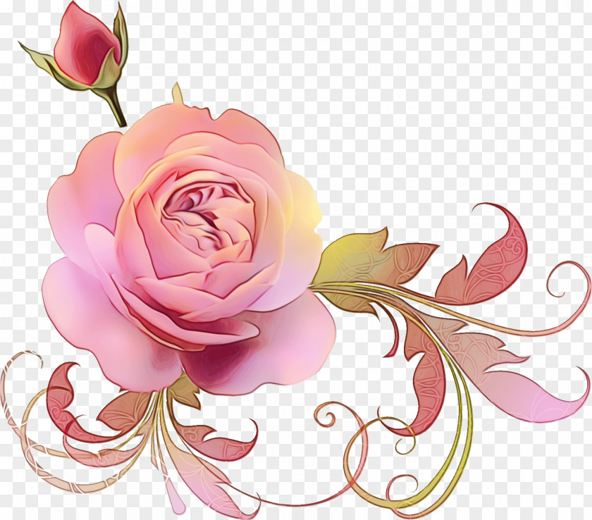 Garden Roses PNG