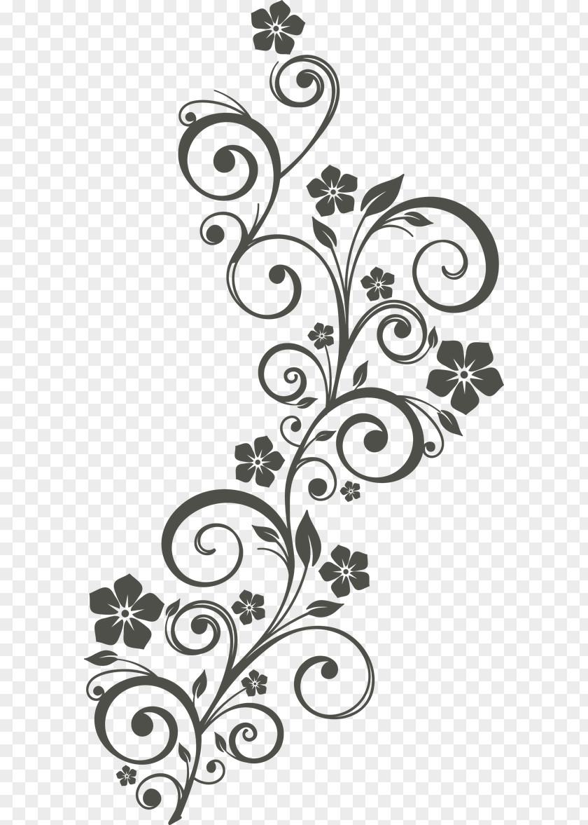 Wedding Convite Image Floral Design PNG