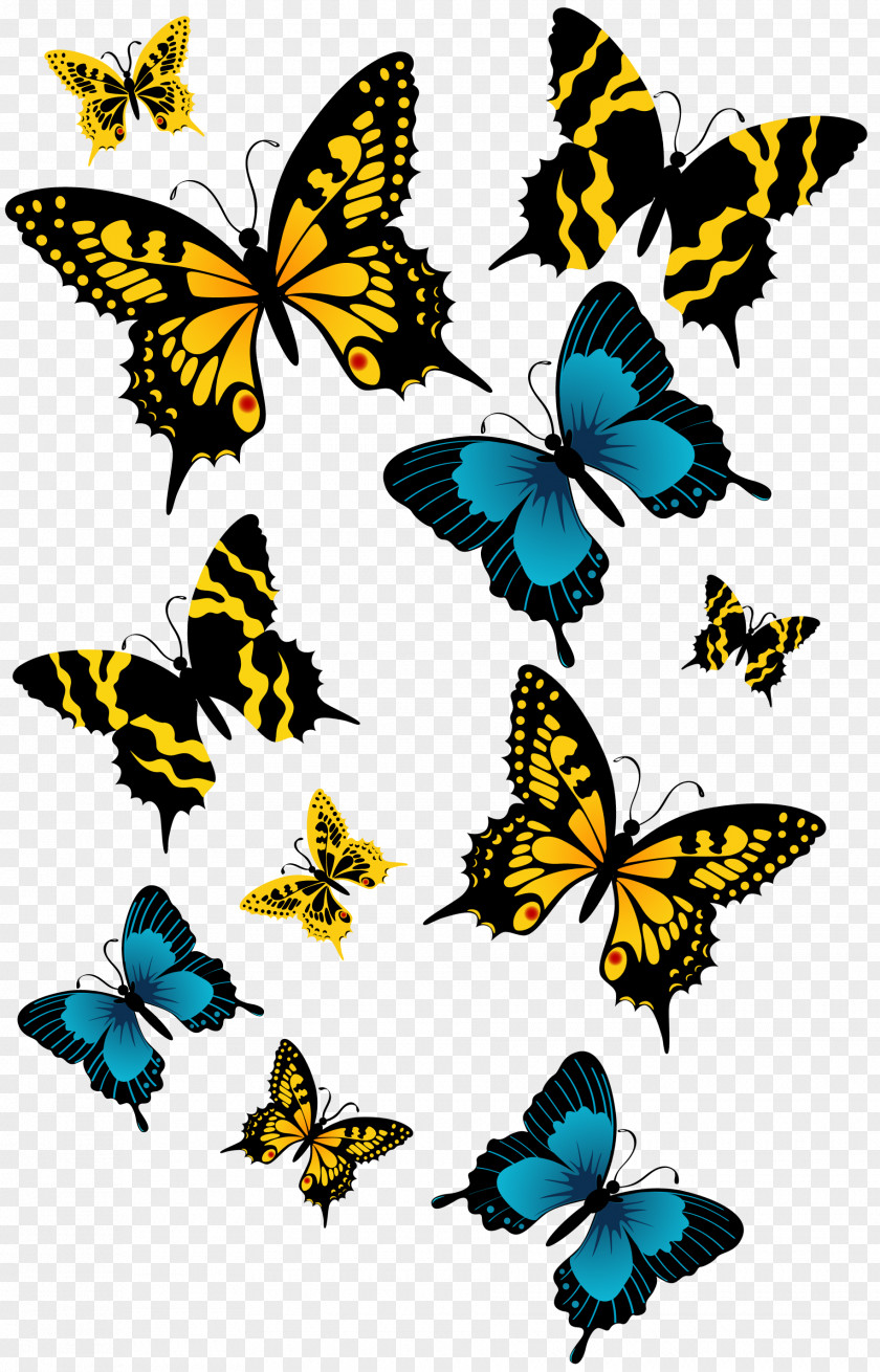 Butterflies Clipart Picture Butterfly Clip Art PNG