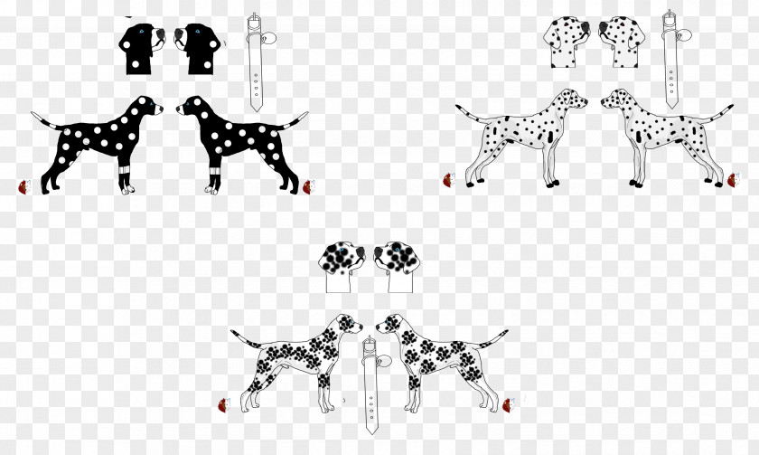Cat Patterdale Terrier Labrador Retriever Dog Breed Dogs A To Z PNG