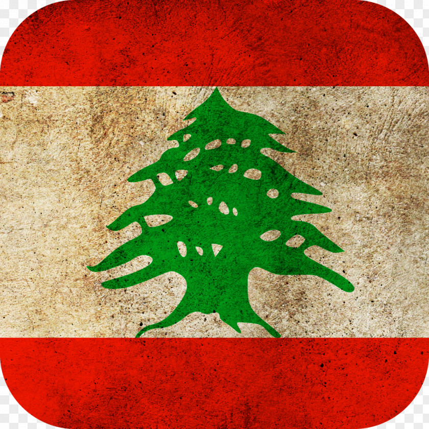 Flag Of Lebanon National Canada PNG