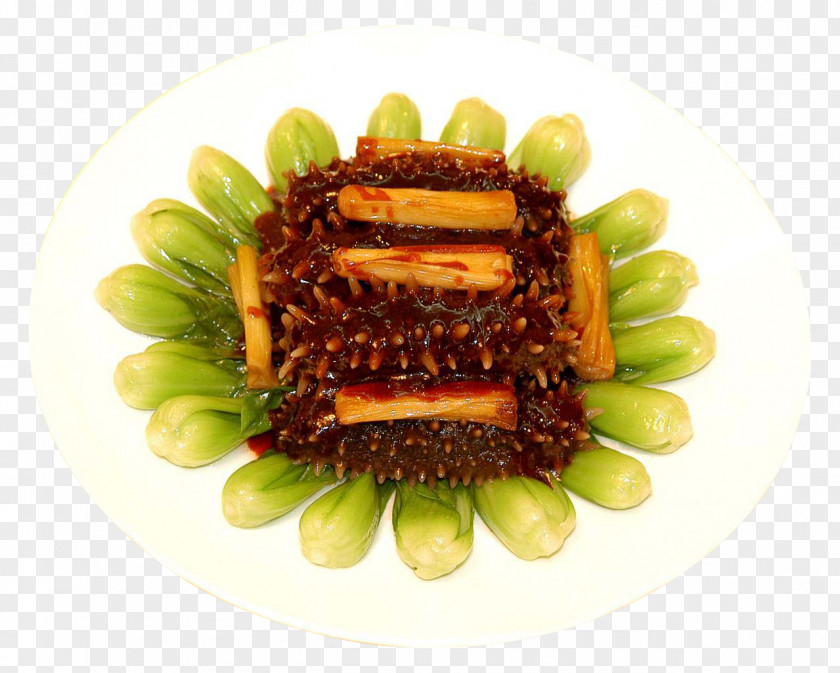 Free Home Edition Braised Sea Cucumber Pull Material Shandong Cuisine Chinese U8471u70e7u6d77u53c2 Allium Fistulosum PNG