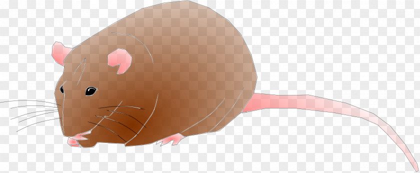 Rat Computer Desktop Wallpaper Clip Art PNG