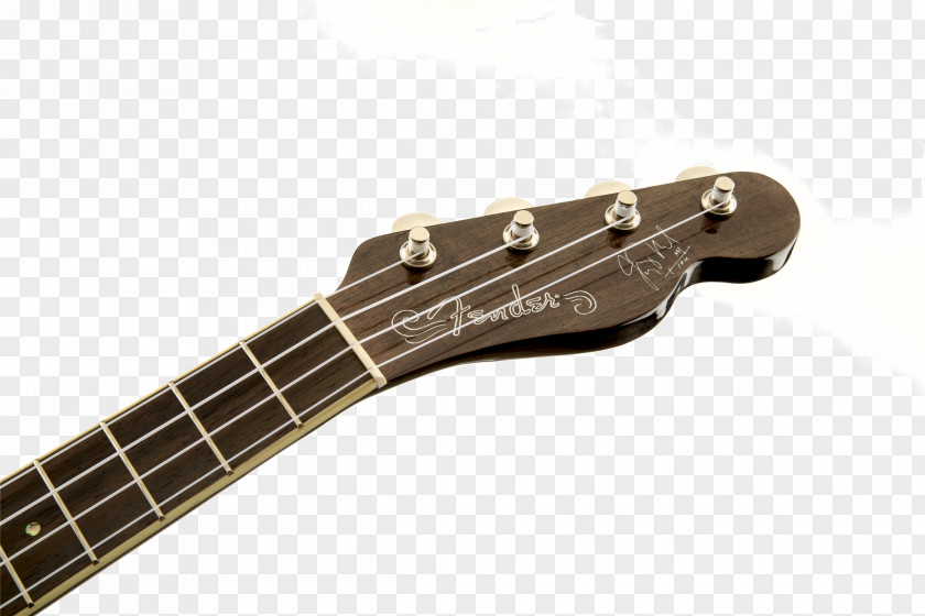 Rosewood Bass Guitar Ukulele Fender Stratocaster Acoustic Electric PNG
