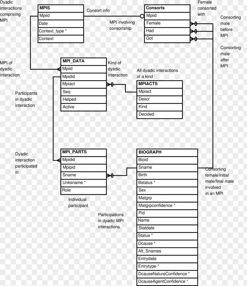 Entity Relationship Diagram Entity–relationship Model Table PNG