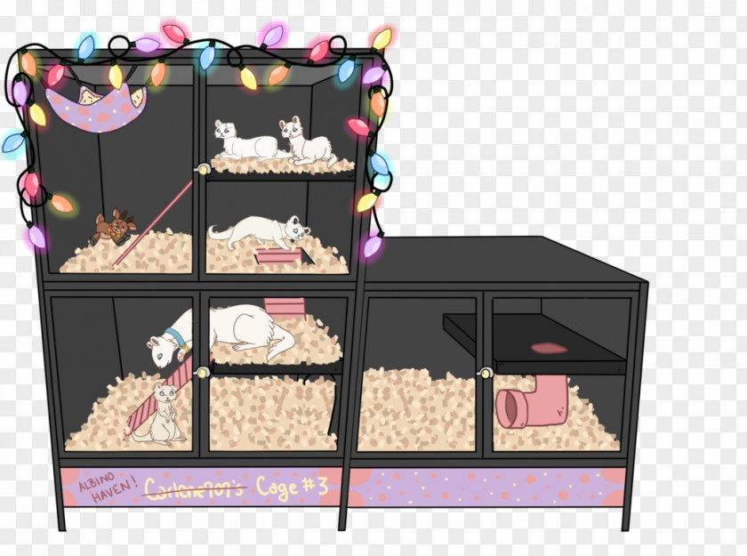 Ferret Cages DeviantArt Artist Art Museum PNG