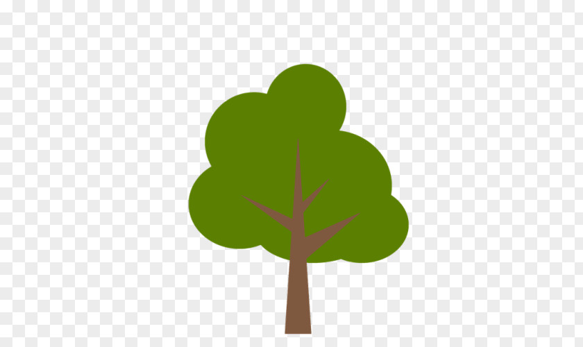 Tree Shrub Branch PNG