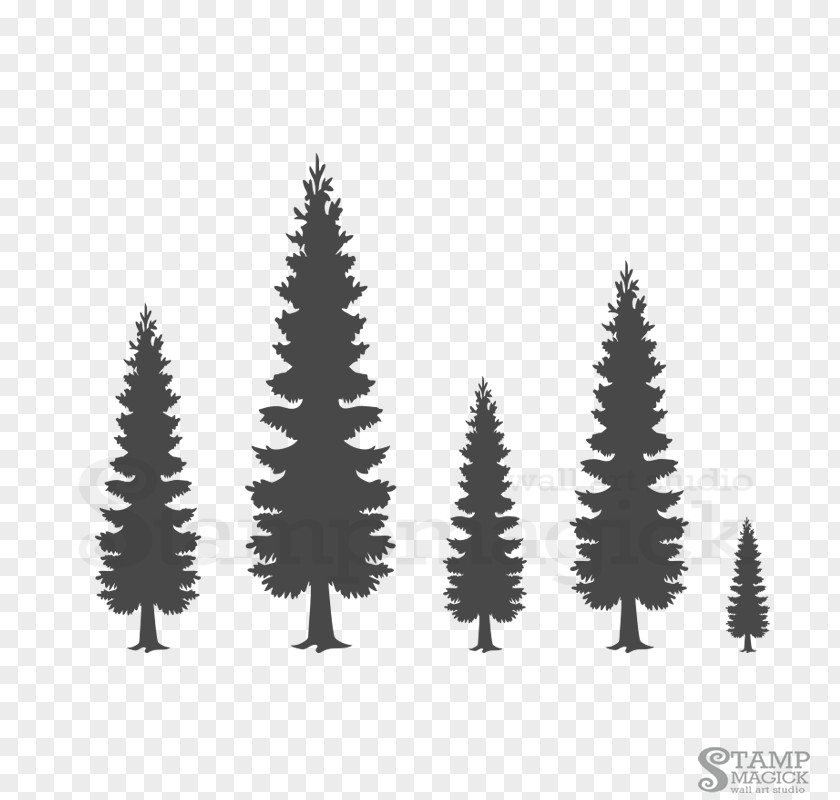 Wall Tree Spruce Decal Pine Sticker PNG