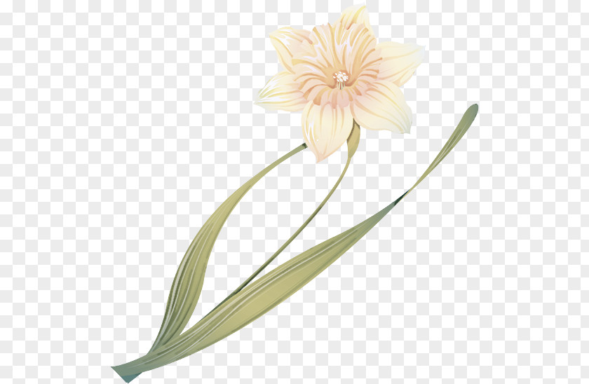 Artificial Flower PNG