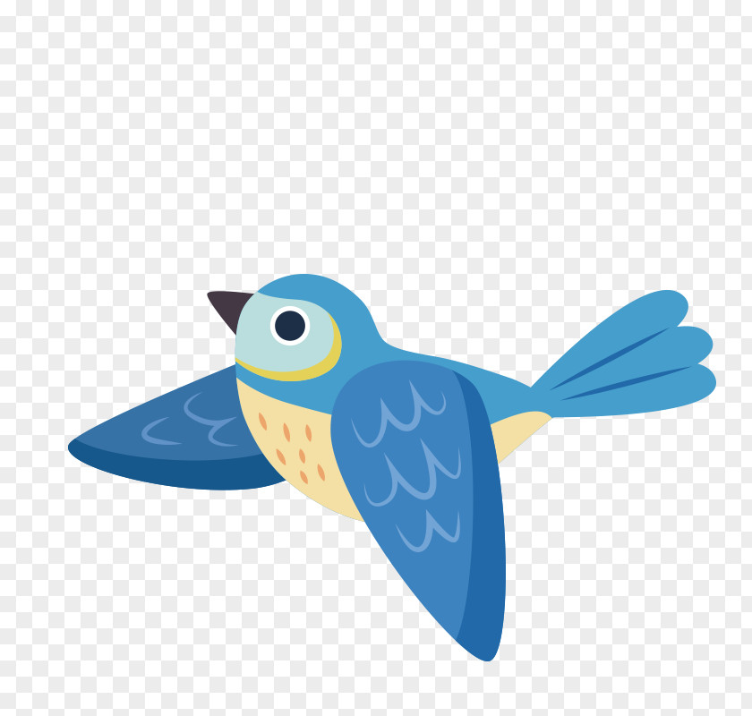 Birds Bird Owl Euclidean Vector Icon PNG