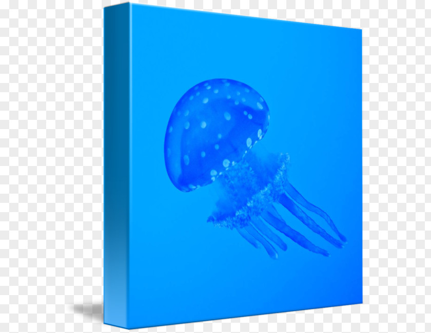 Blue Jellyfish Font PNG