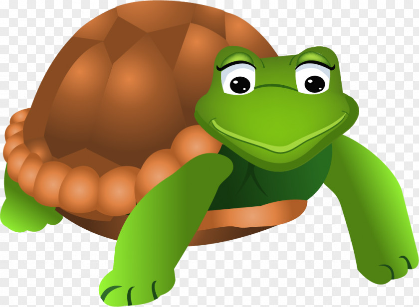 Cartoon Turtle Material Drawing Euclidean Vector PNG