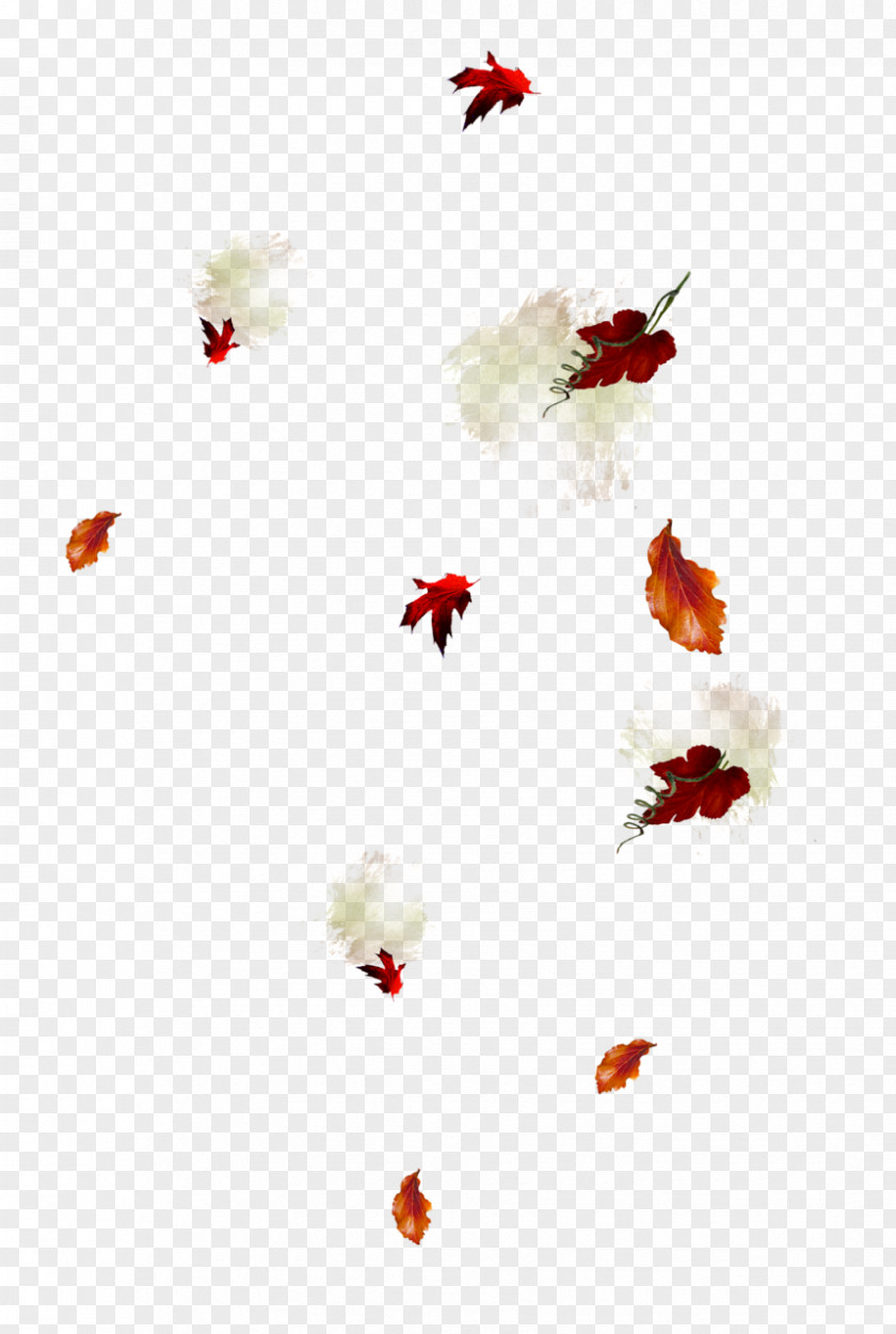 Autumn Leaf Abscission Clip Art PNG