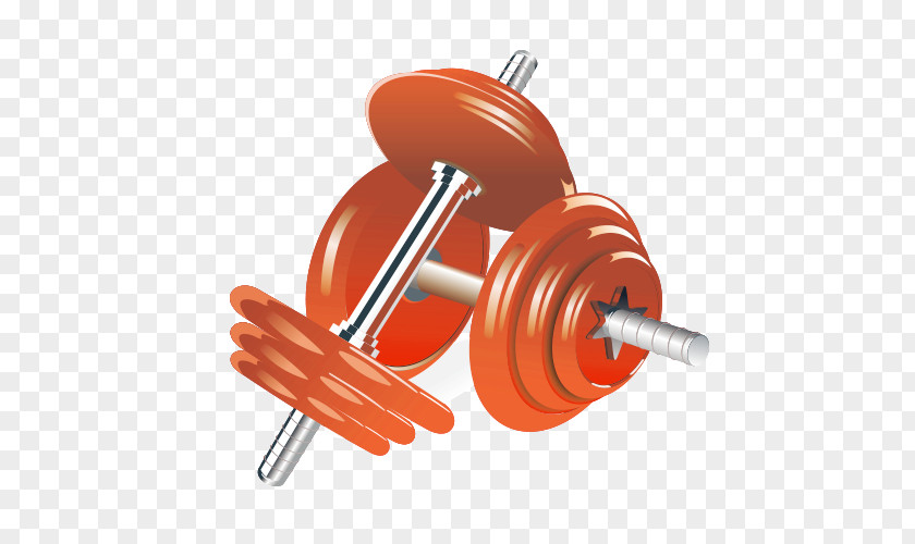 Barbell Material Dumbbell Physical Exercise Weight Training Illustration PNG