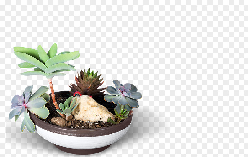 Online Shopping Webstore E-commerce Sales Flowerpot PNG