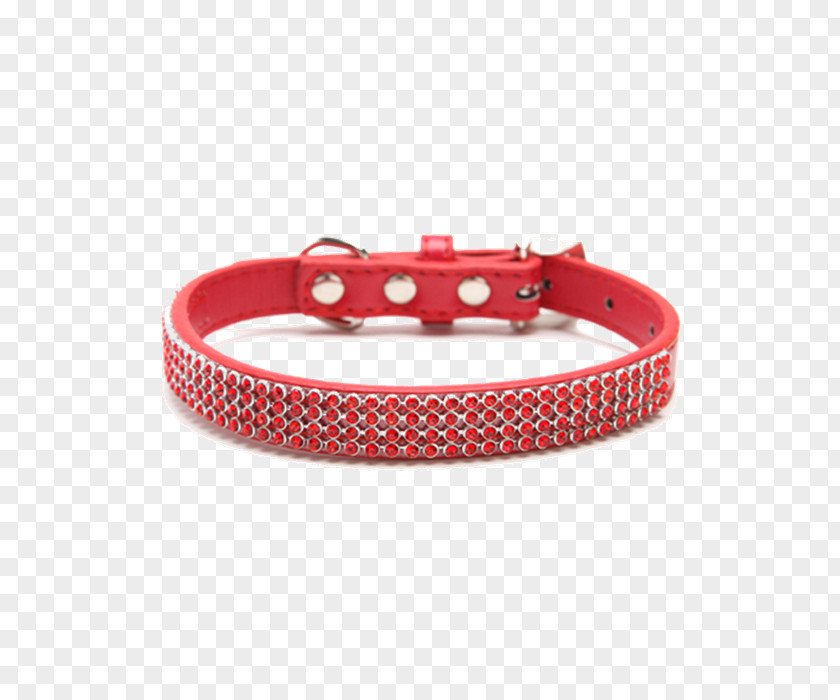 Tags Dog Collar Cat Food PNG