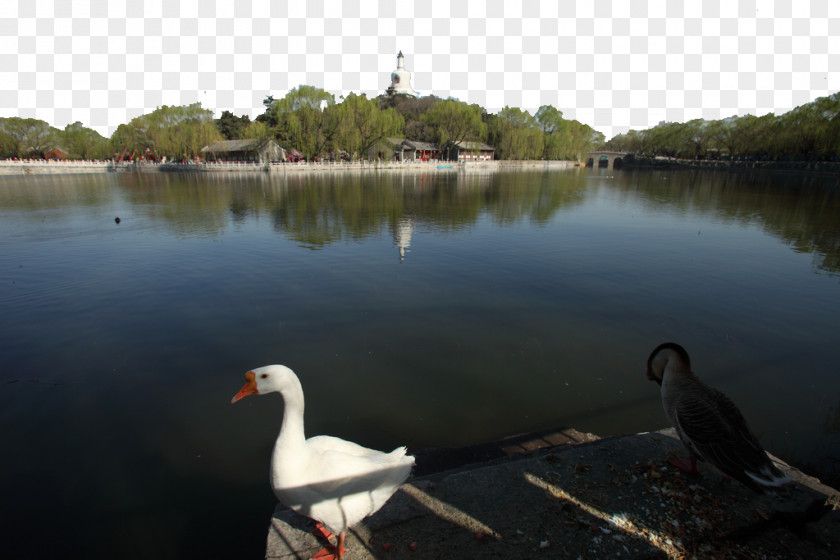 Beihai Park Peoples Natural Gas Odori PNG