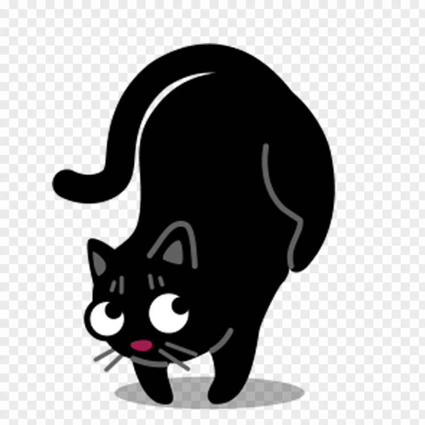 Black Cat Pattern Kitten ICO Icon PNG