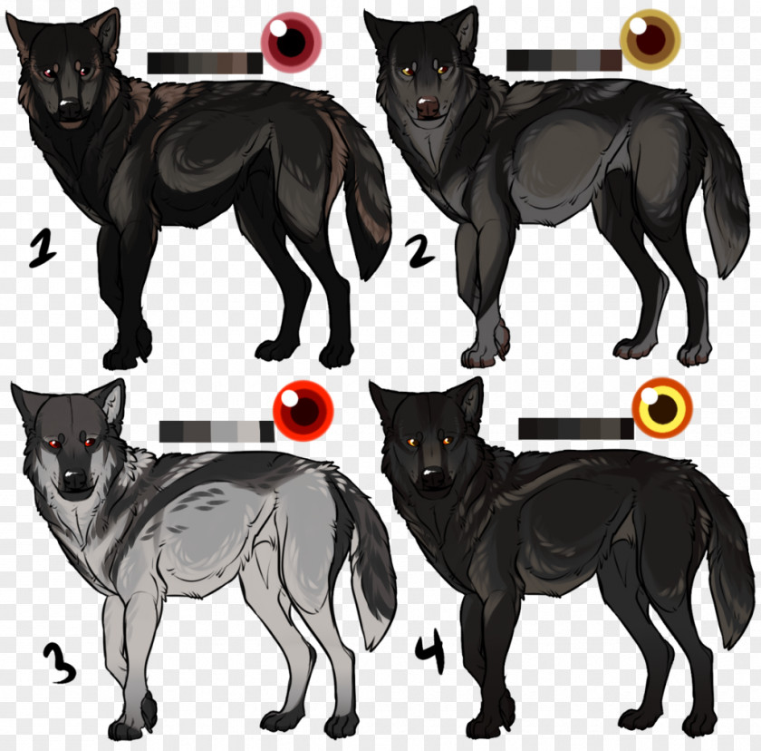 Cat Dog Breed Schipperke Character Mammal PNG