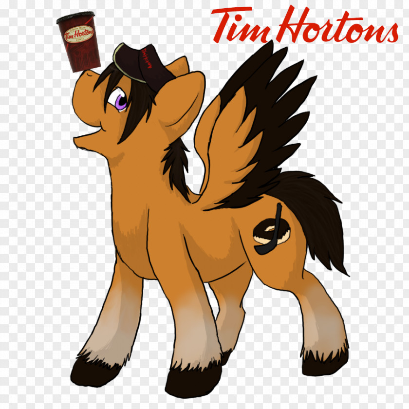 Dog Coffee Tim Hortons Cat Horse PNG