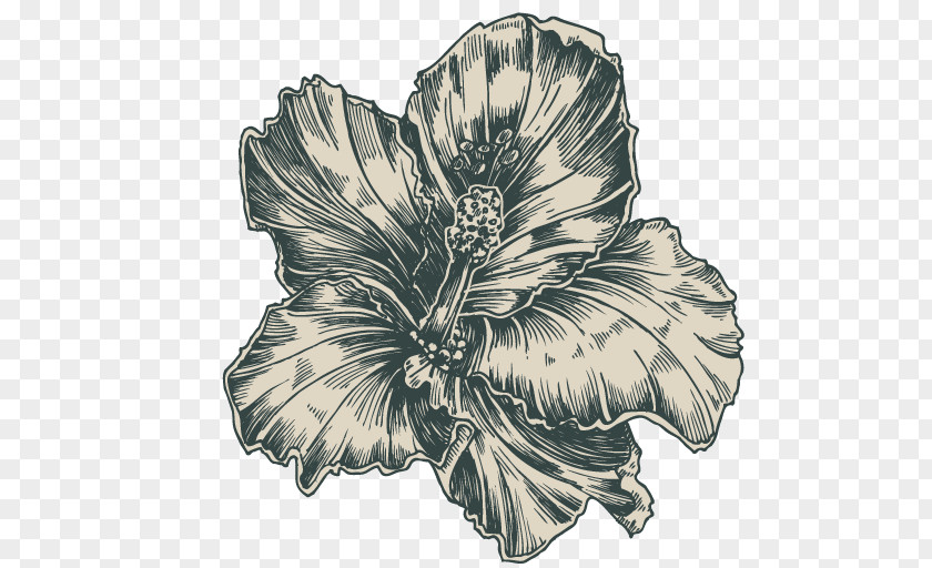 Retro Flower Euclidean Vector Adobe Illustrator PNG