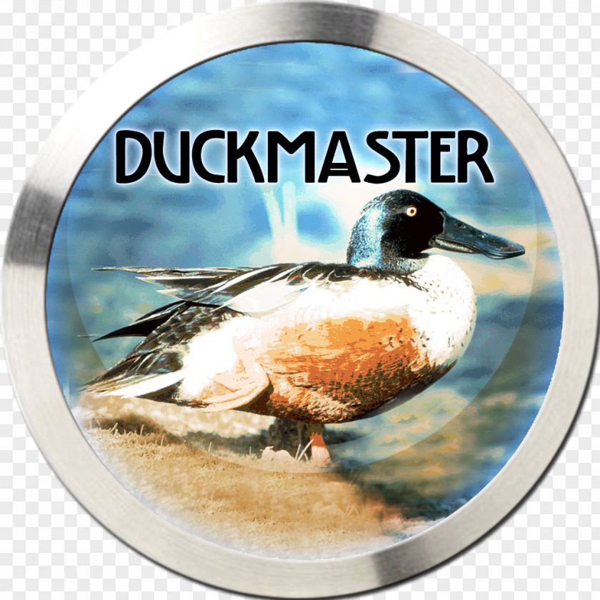 Wild Duck Mallard App Store Game Apple TV PNG