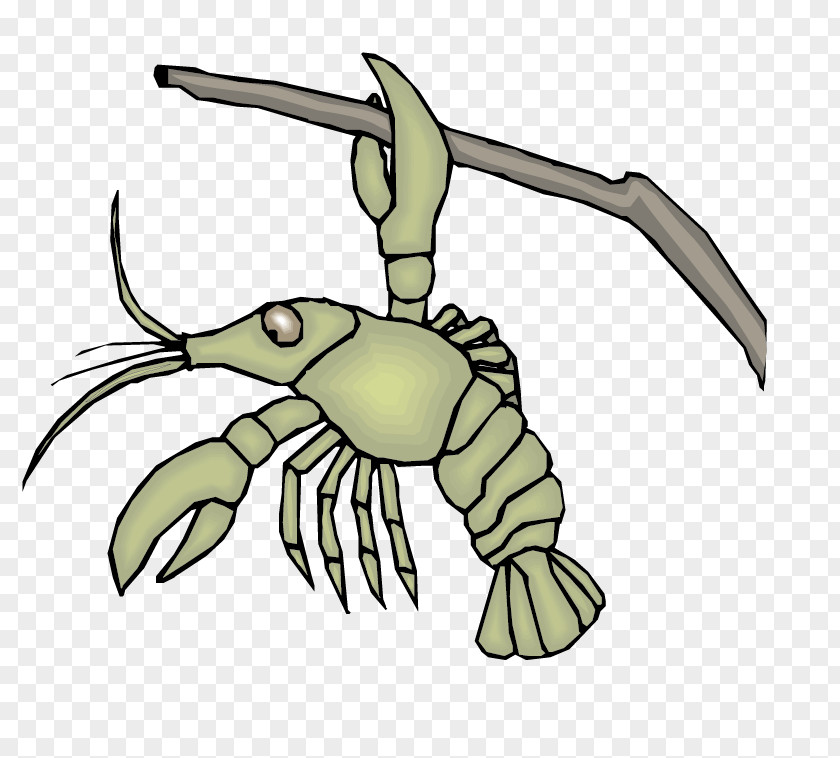 Vector Lobster Playful Material Crab Homarus PNG