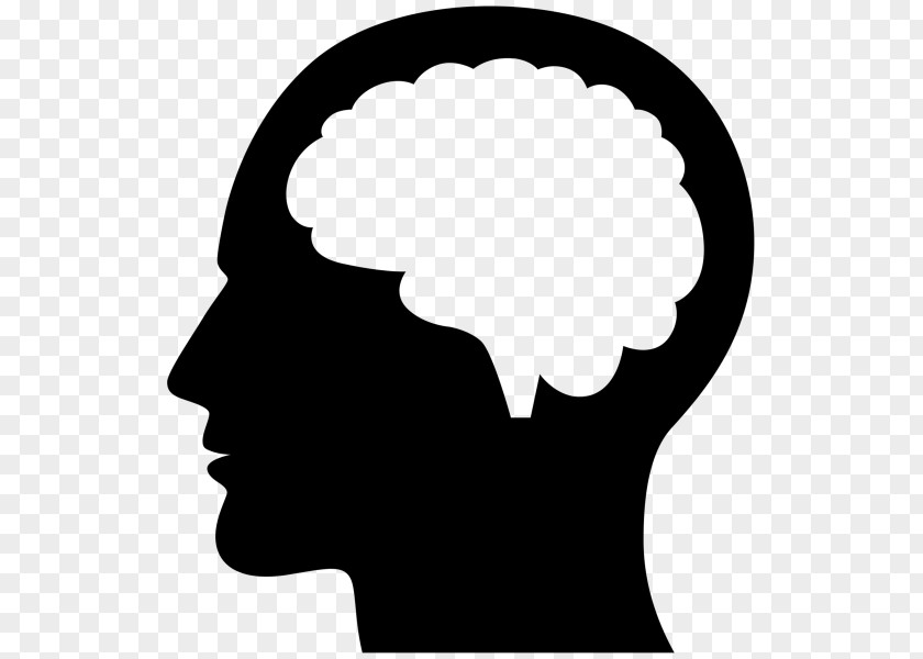 Brain Thinking Human Clip Art PNG