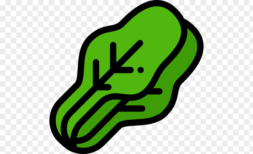 Cabbage Food Vegetable Clip Art PNG