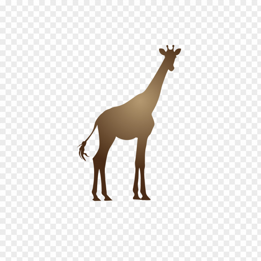 Cartoon Giraffe Deer Neck Animal Pattern PNG