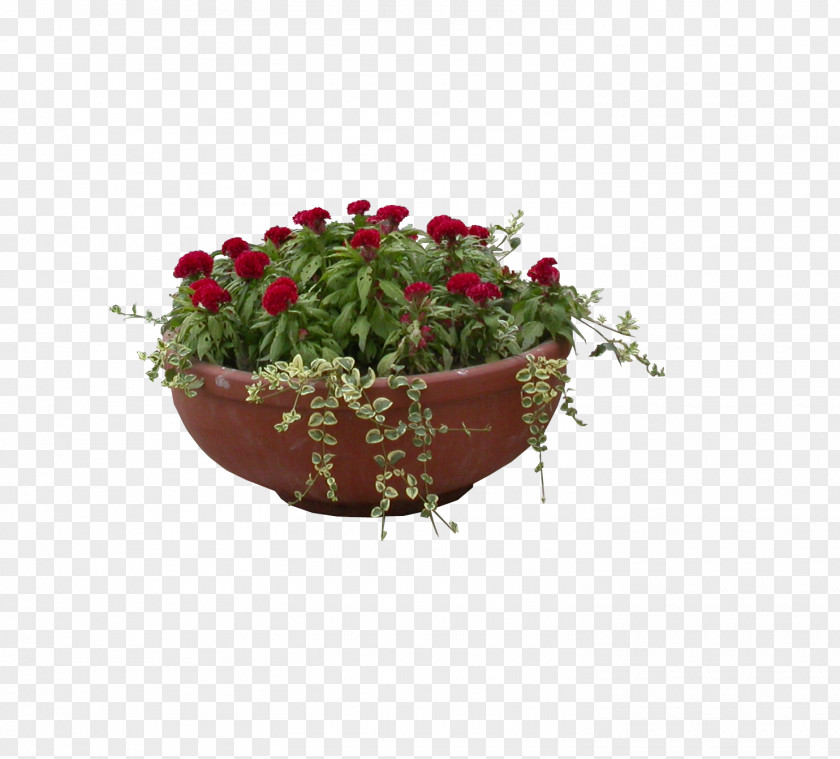Stone Basin Of Safflower And Plant Garden Roses Bonsai Flowerpot Gratis PNG