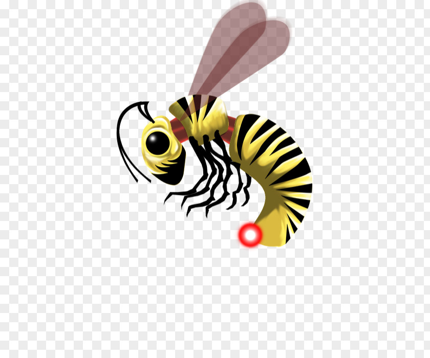 Wasp Insect Honey Bee Butterfly Pollinator PNG