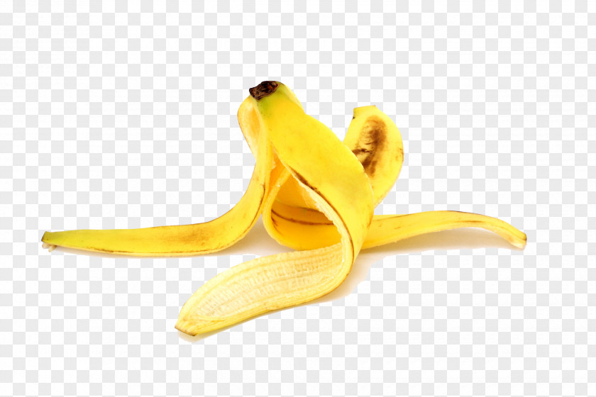 Brazilian Festivals Banana Peel Fruit Food PNG