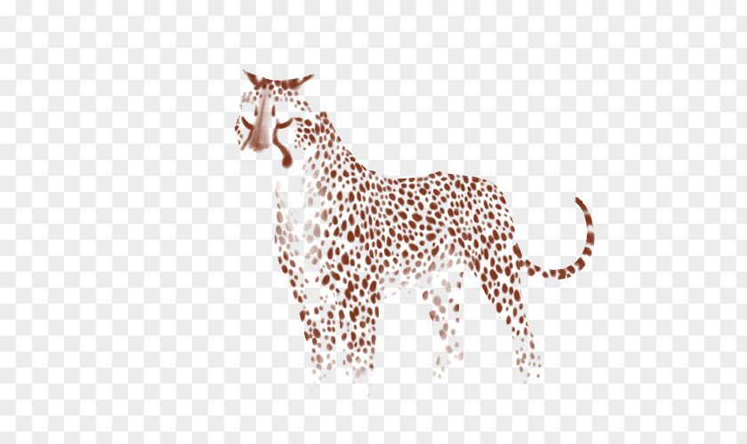Cheetah Giraffe Felidae Leopard Lion PNG